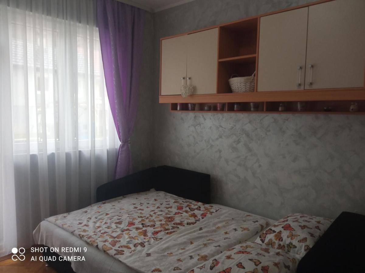 Apartman ,,Milica" Долни Милановац Екстериор снимка